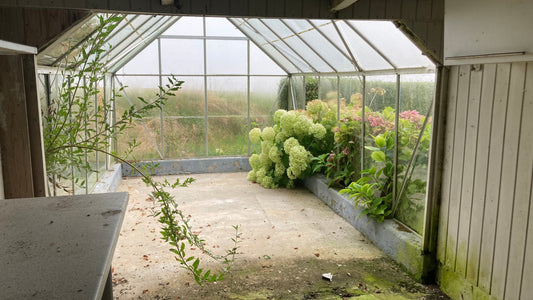 What is a conservatory?