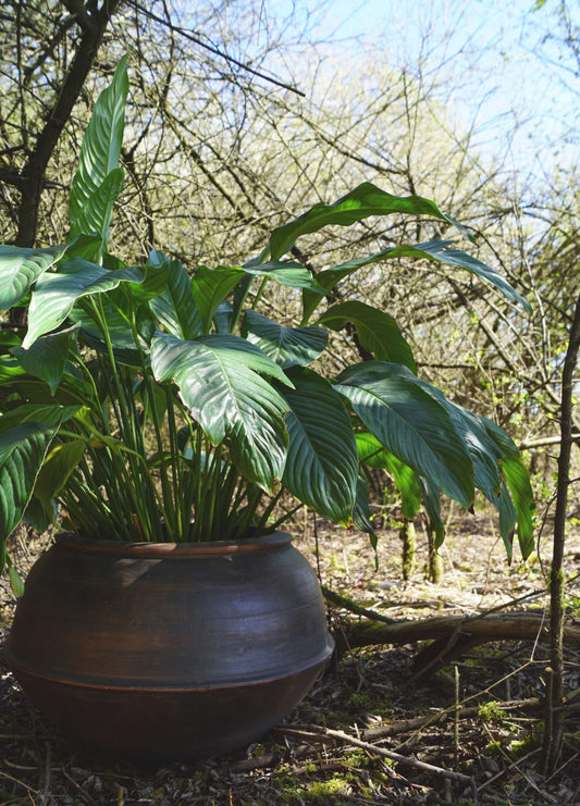 Large planter pot of clay